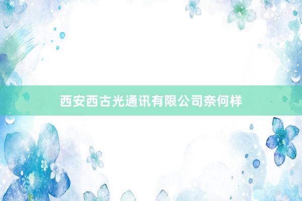 西安西古光通讯有限公司奈何样
